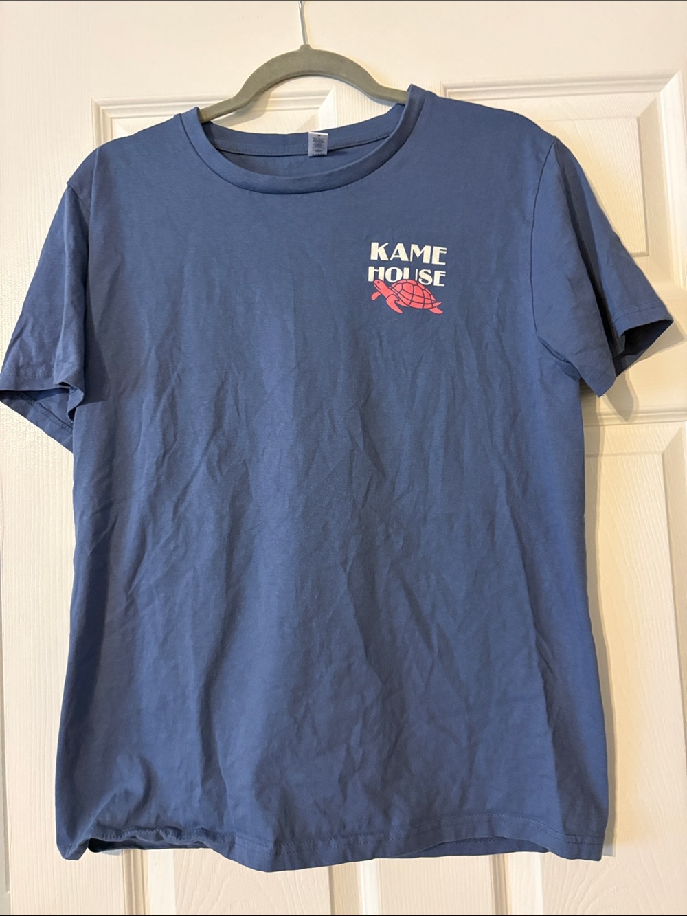 Kame House Blue Graphic Tee with Pink Turtle Logo